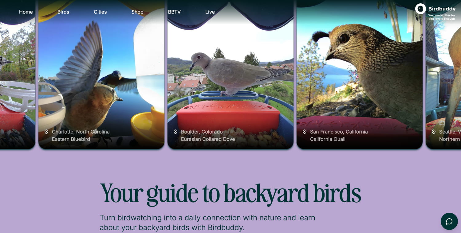 Birdbuddy WIKI